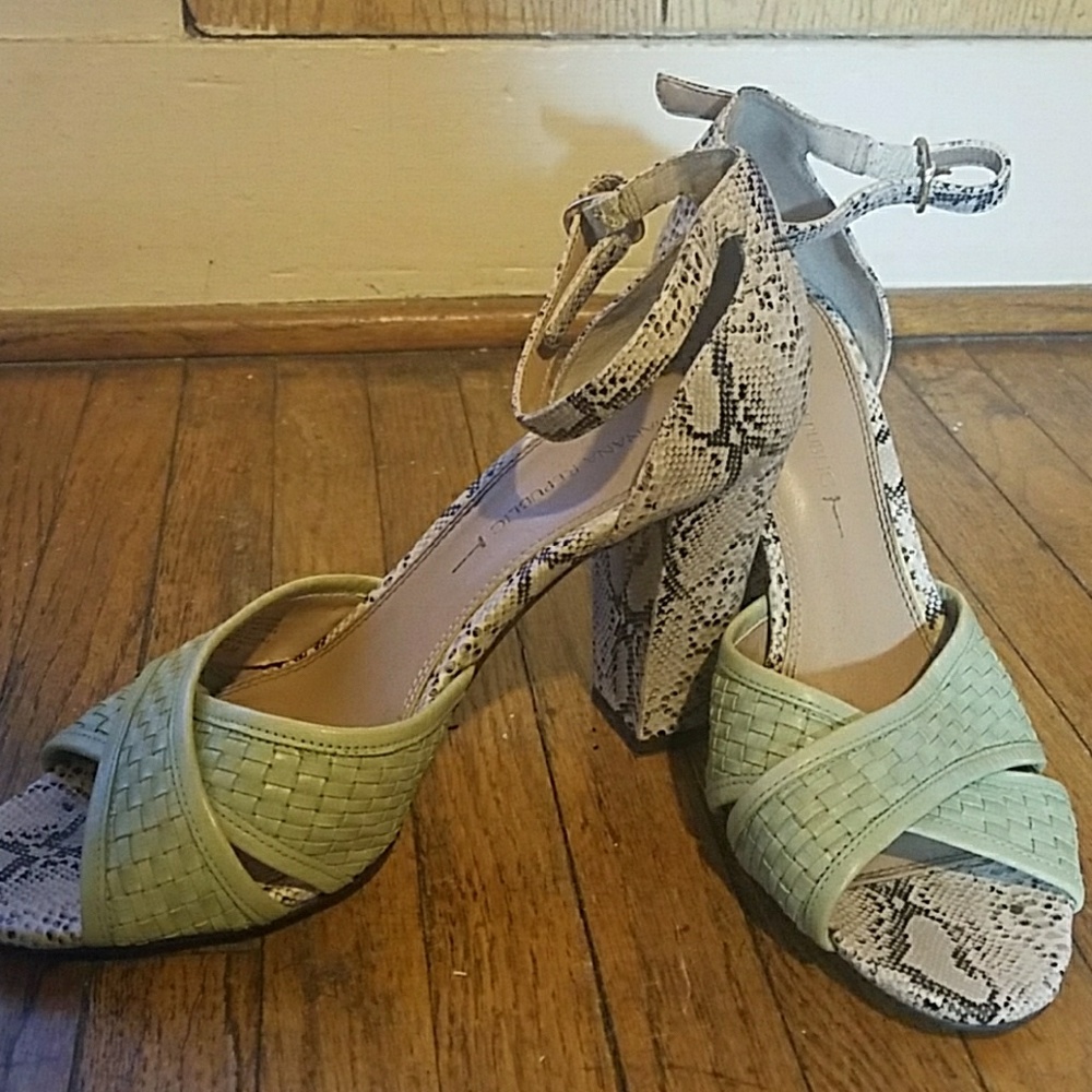Mint & Snakeskin Banana Republic Heels